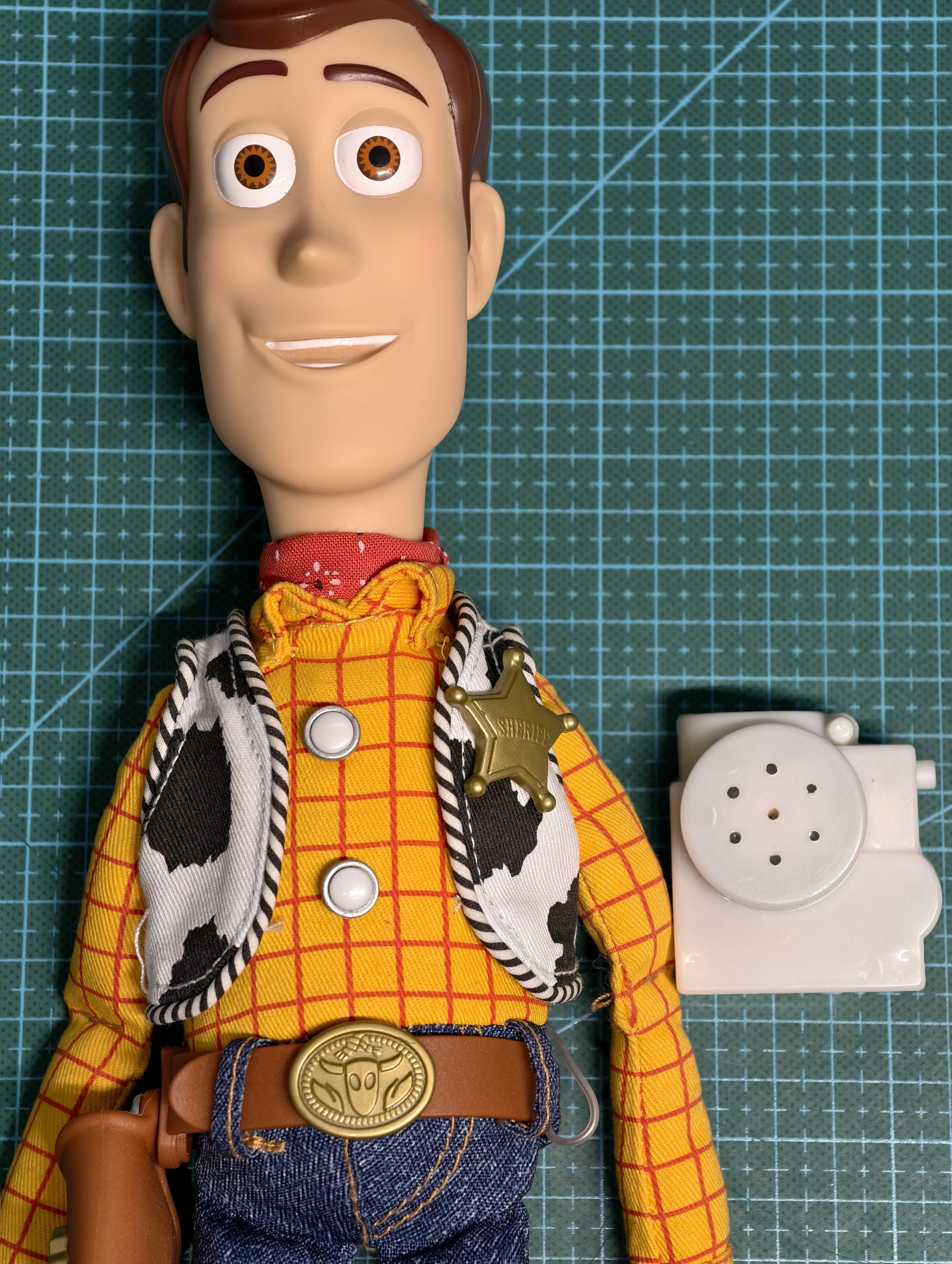 woody